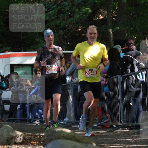 28.09.2025 - 33. Volkslauf durch das schöne Alstertal Strokosch-Dieckow http://msf.ph/oto/8973619 28.09.2025 12:20:31 Ziel 2157, 2309, 2648 meine-sportfotos.de