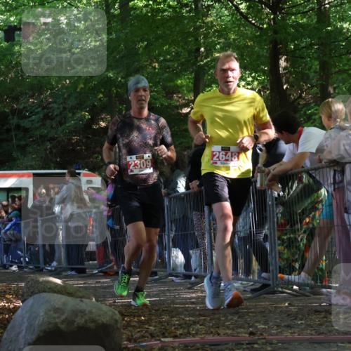 28.09.2025 - 33. Volkslauf durch das schöne Alstertal Strokosch-Dieckow http://msf.ph/oto/8973622 28.09.2025 12:20:34 Ziel 2157, 2309, 2648 meine-sportfotos.de