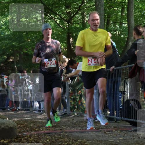 28.09.2025 - 33. Volkslauf durch das schöne Alstertal Strokosch-Dieckow http://msf.ph/oto/8973624 28.09.2025 12:20:35 Ziel 2157, 2309, 2648 meine-sportfotos.de