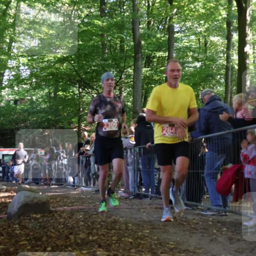 28.09.2025 - 33. Volkslauf durch das schöne Alstertal Strokosch-Dieckow http://msf.ph/oto/8973625 28.09.2025 12:20:36 Ziel 2157, 2309, 2648 meine-sportfotos.de
