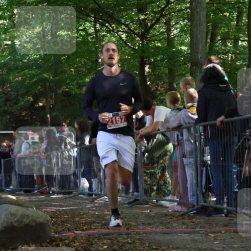 28.09.2025 - 33. Volkslauf durch das schöne Alstertal Strokosch-Dieckow http://msf.ph/oto/8973629 28.09.2025 12:20:39 Ziel 2157 meine-sportfotos.de