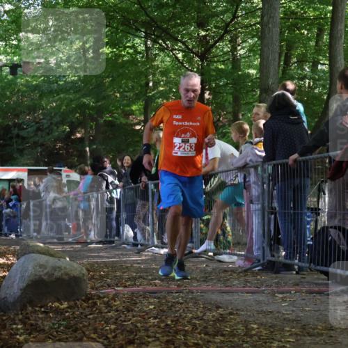 28.09.2025 - 33. Volkslauf durch das schöne Alstertal Strokosch-Dieckow http://msf.ph/oto/8973637 28.09.2025 12:20:50 Ziel 2263 meine-sportfotos.de