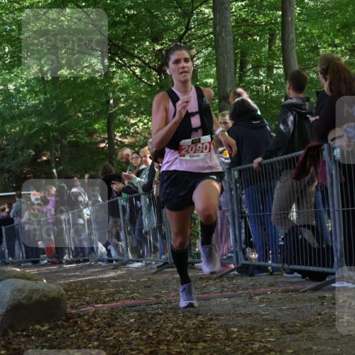 28.09.2025 - 33. Volkslauf durch das schöne Alstertal Strokosch-Dieckow http://msf.ph/oto/8973641 28.09.2025 12:21:05 Ziel 2090 meine-sportfotos.de