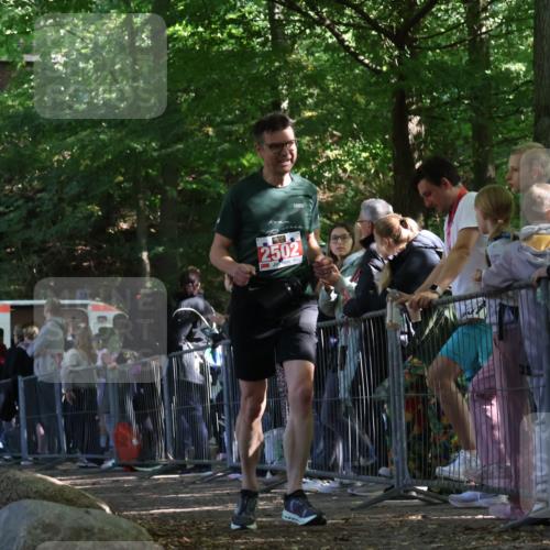 28.09.2025 - 33. Volkslauf durch das schöne Alstertal Strokosch-Dieckow http://msf.ph/oto/8973645 28.09.2025 12:21:23 Ziel 2502 meine-sportfotos.de