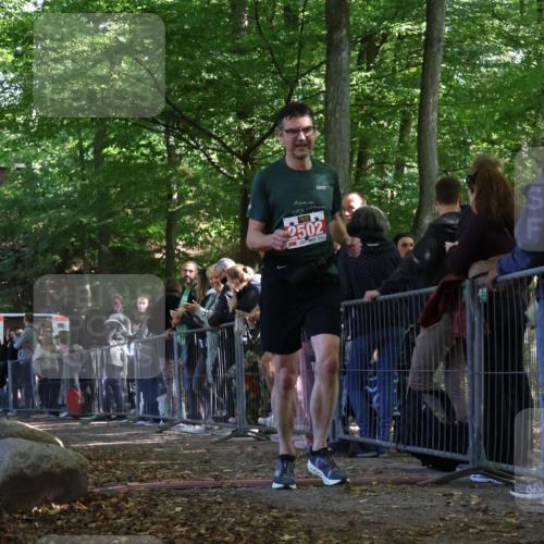 28.09.2025 - 33. Volkslauf durch das schöne Alstertal Strokosch-Dieckow http://msf.ph/oto/8973647 28.09.2025 12:21:24 Ziel 2502 meine-sportfotos.de