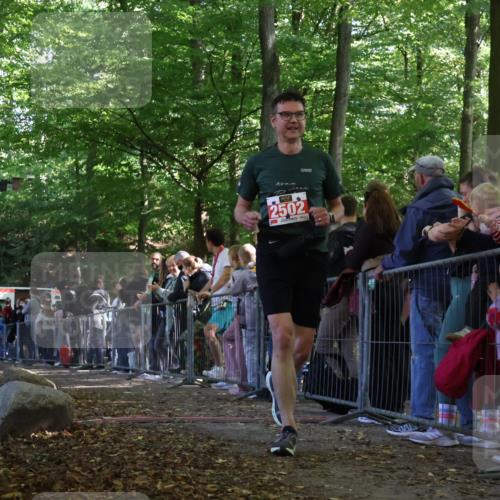 28.09.2025 - 33. Volkslauf durch das schöne Alstertal Strokosch-Dieckow http://msf.ph/oto/8973648 28.09.2025 12:21:25 Ziel 2502 meine-sportfotos.de