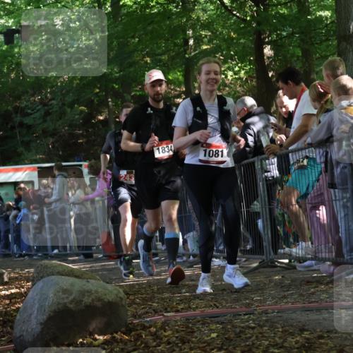 28.09.2025 - 33. Volkslauf durch das schöne Alstertal Strokosch-Dieckow http://msf.ph/oto/8973662 28.09.2025 12:21:56 Ziel 1081, 1834, 2431 meine-sportfotos.de