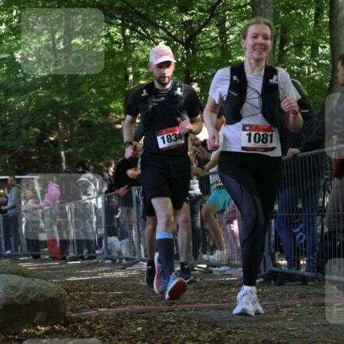 28.09.2025 - 33. Volkslauf durch das schöne Alstertal Strokosch-Dieckow http://msf.ph/oto/8973665 28.09.2025 12:21:57 Ziel 1081, 1834, 2431 meine-sportfotos.de