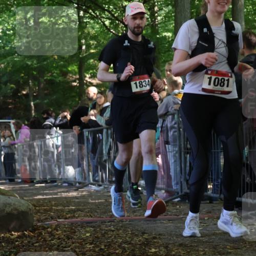 28.09.2025 - 33. Volkslauf durch das schöne Alstertal Strokosch-Dieckow http://msf.ph/oto/8973666 28.09.2025 12:21:57 Ziel 1081, 1834, 2431 meine-sportfotos.de