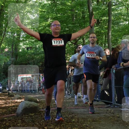 28.09.2025 - 33. Volkslauf durch das schöne Alstertal Strokosch-Dieckow http://msf.ph/oto/8973675 28.09.2025 12:22:16 Ziel 1723, 1737, 2055, 2056 meine-sportfotos.de