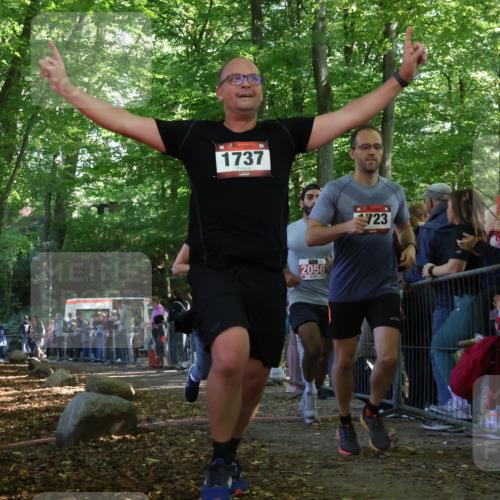28.09.2025 - 33. Volkslauf durch das schöne Alstertal Strokosch-Dieckow http://msf.ph/oto/8973676 28.09.2025 12:22:16 Ziel 1723, 1737, 2055, 2056 meine-sportfotos.de