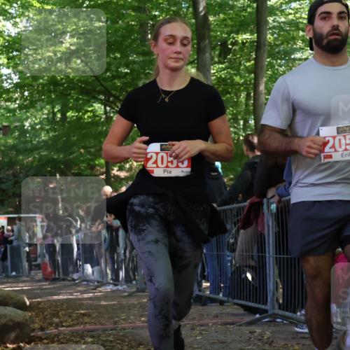 28.09.2025 - 33. Volkslauf durch das schöne Alstertal Strokosch-Dieckow http://msf.ph/oto/8973678 28.09.2025 12:22:17 Ziel 2055, 2056 meine-sportfotos.de