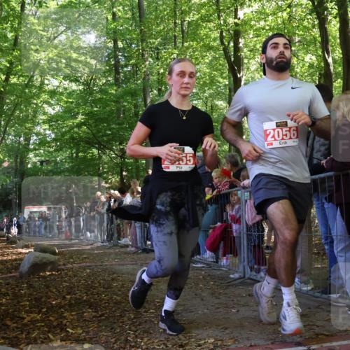 28.09.2025 - 33. Volkslauf durch das schöne Alstertal Strokosch-Dieckow http://msf.ph/oto/8973679 28.09.2025 12:22:18 Ziel  meine-sportfotos.de