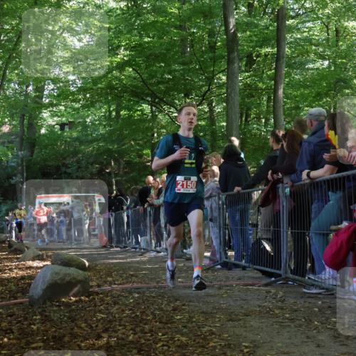 28.09.2025 - 33. Volkslauf durch das schöne Alstertal Strokosch-Dieckow http://msf.ph/oto/8973684 28.09.2025 12:22:31 Ziel 1736, 2150, 2196 meine-sportfotos.de