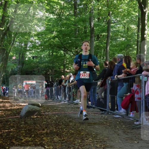 28.09.2025 - 33. Volkslauf durch das schöne Alstertal Strokosch-Dieckow http://msf.ph/oto/8973685 28.09.2025 12:22:32 Ziel 1736, 2150, 2196 meine-sportfotos.de