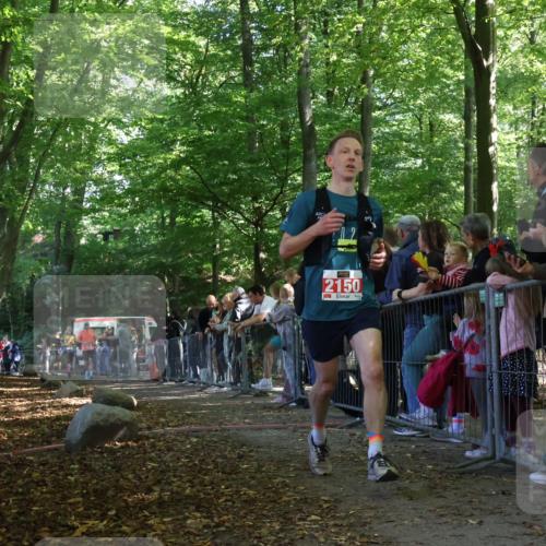28.09.2025 - 33. Volkslauf durch das schöne Alstertal Strokosch-Dieckow http://msf.ph/oto/8973686 28.09.2025 12:22:32 Ziel 1736, 2150, 2196 meine-sportfotos.de