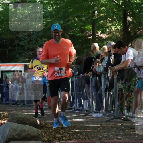 28.09.2025 - 33. Volkslauf durch das schöne Alstertal Strokosch-Dieckow http://msf.ph/oto/8973688 28.09.2025 12:22:38 Ziel 1736, 2196, 2288, 2523, 2568 meine-sportfotos.de