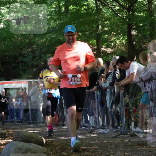 28.09.2025 - 33. Volkslauf durch das schöne Alstertal Strokosch-Dieckow http://msf.ph/oto/8973689 28.09.2025 12:22:39 Ziel 1736, 2196, 2288, 2523, 2568 meine-sportfotos.de