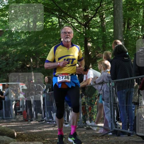 28.09.2025 - 33. Volkslauf durch das schöne Alstertal Strokosch-Dieckow http://msf.ph/oto/8973694 28.09.2025 12:22:41 Ziel 1736, 2288, 2457, 2523, 2568 meine-sportfotos.de