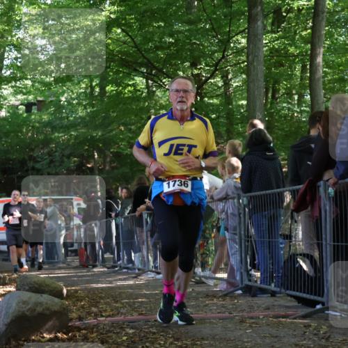 28.09.2025 - 33. Volkslauf durch das schöne Alstertal Strokosch-Dieckow http://msf.ph/oto/8973695 28.09.2025 12:22:41 Ziel 1736, 2288, 2457, 2523, 2568 meine-sportfotos.de