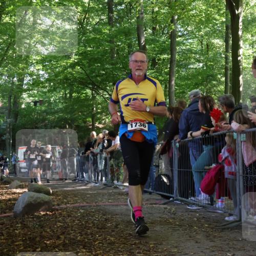 28.09.2025 - 33. Volkslauf durch das schöne Alstertal Strokosch-Dieckow http://msf.ph/oto/8973697 28.09.2025 12:22:42 Ziel 2288, 2457, 2523, 2568 meine-sportfotos.de