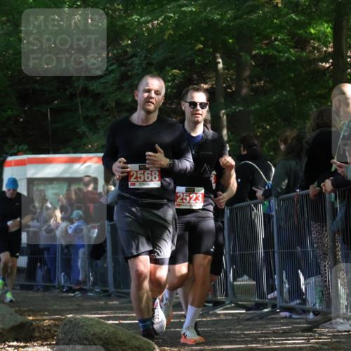 28.09.2025 - 33. Volkslauf durch das schöne Alstertal Strokosch-Dieckow http://msf.ph/oto/8973700 28.09.2025 12:22:44 Ziel 2288, 2457, 2523, 2568 meine-sportfotos.de
