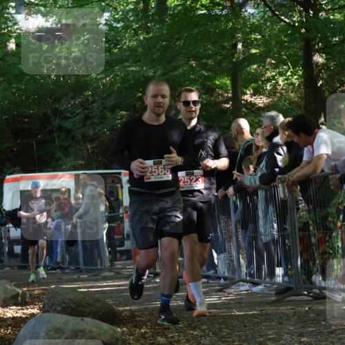 28.09.2025 - 33. Volkslauf durch das schöne Alstertal Strokosch-Dieckow http://msf.ph/oto/8973703 28.09.2025 12:22:45 Ziel 2288, 2457, 2523, 2568 meine-sportfotos.de