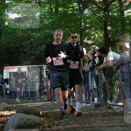 28.09.2025 - 33. Volkslauf durch das schöne Alstertal Strokosch-Dieckow http://msf.ph/oto/8973704 28.09.2025 12:22:46 Ziel 2288, 2457, 2523, 2568 meine-sportfotos.de