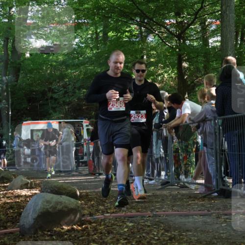 28.09.2025 - 33. Volkslauf durch das schöne Alstertal Strokosch-Dieckow http://msf.ph/oto/8973705 28.09.2025 12:22:46 Ziel 2288, 2457, 2523, 2568 meine-sportfotos.de