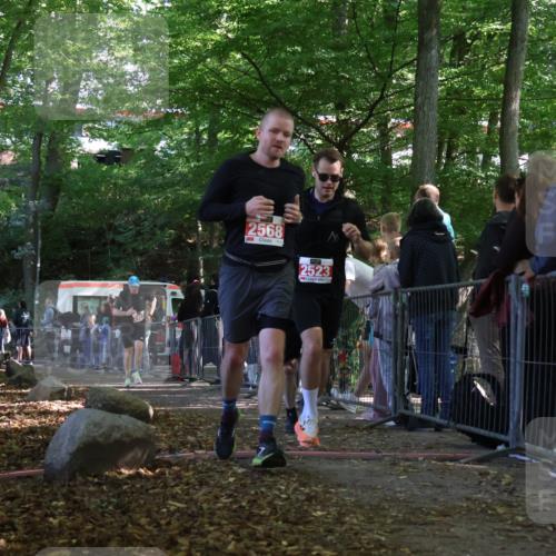 28.09.2025 - 33. Volkslauf durch das schöne Alstertal Strokosch-Dieckow http://msf.ph/oto/8973706 28.09.2025 12:22:47 Ziel 2288, 2457, 2523, 2568 meine-sportfotos.de