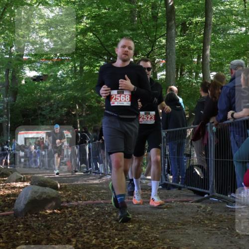 28.09.2025 - 33. Volkslauf durch das schöne Alstertal Strokosch-Dieckow http://msf.ph/oto/8973707 28.09.2025 12:22:47 Ziel 2288, 2457, 2523, 2568 meine-sportfotos.de