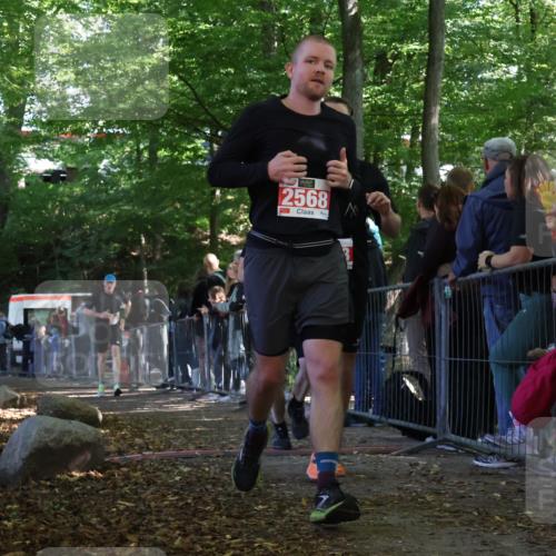 28.09.2025 - 33. Volkslauf durch das schöne Alstertal Strokosch-Dieckow http://msf.ph/oto/8973708 28.09.2025 12:22:47 Ziel 2288, 2457, 2523, 2568 meine-sportfotos.de