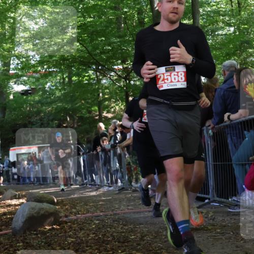 28.09.2025 - 33. Volkslauf durch das schöne Alstertal Strokosch-Dieckow http://msf.ph/oto/8973709 28.09.2025 12:22:48 Ziel 2288, 2457, 2523 meine-sportfotos.de