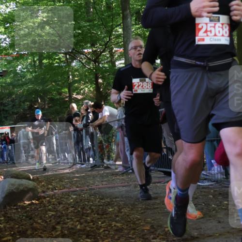 28.09.2025 - 33. Volkslauf durch das schöne Alstertal Strokosch-Dieckow http://msf.ph/oto/8973710 28.09.2025 12:22:48 Ziel 2288, 2457, 2523 meine-sportfotos.de