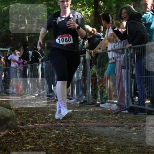 28.09.2025 - 33. Volkslauf durch das schöne Alstertal Strokosch-Dieckow http://msf.ph/oto/8973722 28.09.2025 12:23:04 Ziel 1080, 1724, 2551 meine-sportfotos.de