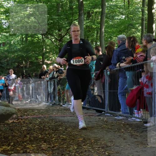 28.09.2025 - 33. Volkslauf durch das schöne Alstertal Strokosch-Dieckow http://msf.ph/oto/8973724 28.09.2025 12:23:05 Ziel 1080, 1724, 2400, 2551 meine-sportfotos.de