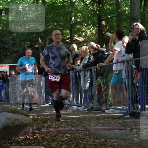 28.09.2025 - 33. Volkslauf durch das schöne Alstertal Strokosch-Dieckow http://msf.ph/oto/8973726 28.09.2025 12:23:07 Ziel 1724, 2400, 2551, 2559 meine-sportfotos.de