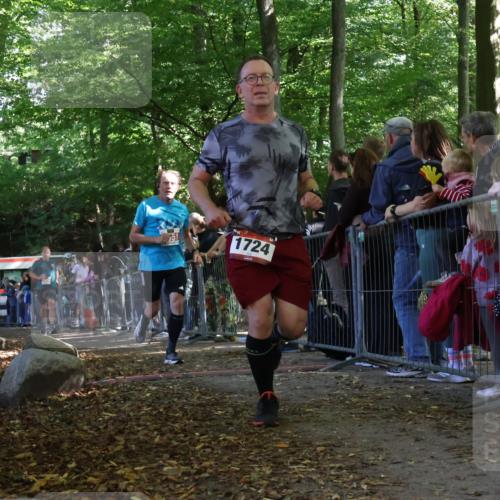 28.09.2025 - 33. Volkslauf durch das schöne Alstertal Strokosch-Dieckow http://msf.ph/oto/8973731 28.09.2025 12:23:09 Ziel 1724, 2131, 2400, 2551, 2559 meine-sportfotos.de