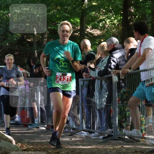 28.09.2025 - 33. Volkslauf durch das schöne Alstertal Strokosch-Dieckow http://msf.ph/oto/8973745 28.09.2025 12:23:18 Ziel 1097, 2131 meine-sportfotos.de