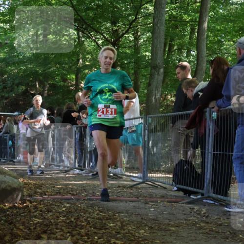 28.09.2025 - 33. Volkslauf durch das schöne Alstertal Strokosch-Dieckow http://msf.ph/oto/8973747 28.09.2025 12:23:19 Ziel 1097, 2131 meine-sportfotos.de