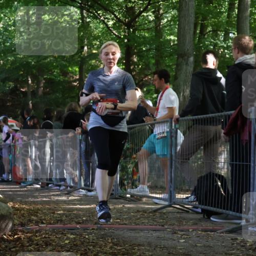 28.09.2025 - 33. Volkslauf durch das schöne Alstertal Strokosch-Dieckow http://msf.ph/oto/8973751 28.09.2025 12:23:21 Ziel 1097 meine-sportfotos.de