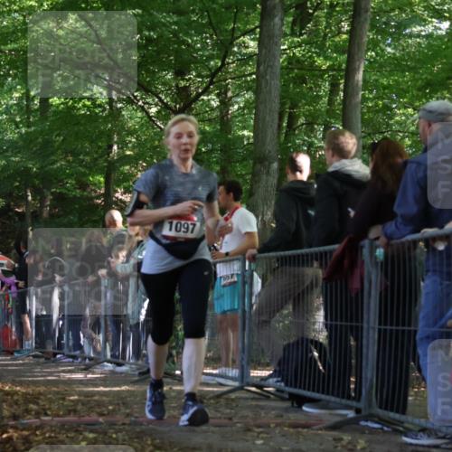 28.09.2025 - 33. Volkslauf durch das schöne Alstertal Strokosch-Dieckow http://msf.ph/oto/8973752 28.09.2025 12:23:21 Ziel 1097 meine-sportfotos.de