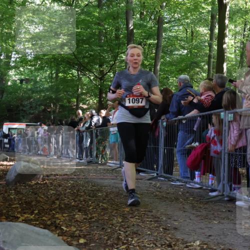 28.09.2025 - 33. Volkslauf durch das schöne Alstertal Strokosch-Dieckow http://msf.ph/oto/8973754 28.09.2025 12:23:23 Ziel 1096 meine-sportfotos.de
