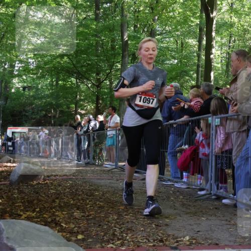 28.09.2025 - 33. Volkslauf durch das schöne Alstertal Strokosch-Dieckow http://msf.ph/oto/8973755 28.09.2025 12:23:23 Ziel 1096 meine-sportfotos.de