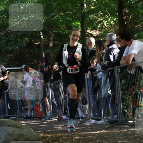 28.09.2025 - 33. Volkslauf durch das schöne Alstertal Strokosch-Dieckow http://msf.ph/oto/8973756 28.09.2025 12:23:31 Ziel 1072, 1096, 1735 meine-sportfotos.de