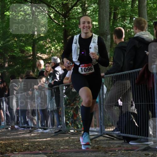28.09.2025 - 33. Volkslauf durch das schöne Alstertal Strokosch-Dieckow http://msf.ph/oto/8973758 28.09.2025 12:23:32 Ziel 1072, 1096, 1735 meine-sportfotos.de
