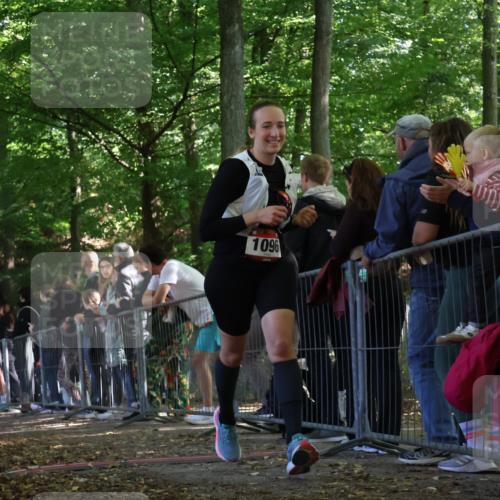 28.09.2025 - 33. Volkslauf durch das schöne Alstertal Strokosch-Dieckow http://msf.ph/oto/8973759 28.09.2025 12:23:33 Ziel 1072, 1096, 1735 meine-sportfotos.de