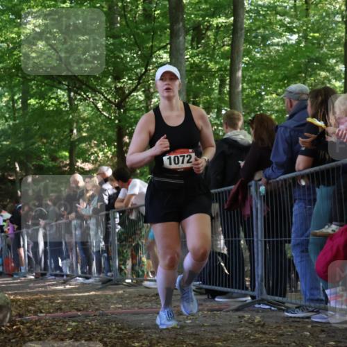 28.09.2025 - 33. Volkslauf durch das schöne Alstertal Strokosch-Dieckow http://msf.ph/oto/8973764 28.09.2025 12:23:41 Ziel 1072 meine-sportfotos.de