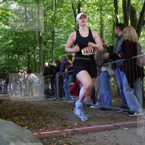 28.09.2025 - 33. Volkslauf durch das schöne Alstertal Strokosch-Dieckow http://msf.ph/oto/8973766 28.09.2025 12:23:42 Ziel  meine-sportfotos.de