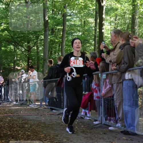 28.09.2025 - 33. Volkslauf durch das schöne Alstertal Strokosch-Dieckow http://msf.ph/oto/8973771 28.09.2025 12:24:04 Ziel 1750, 2180, 2379, 2540 meine-sportfotos.de